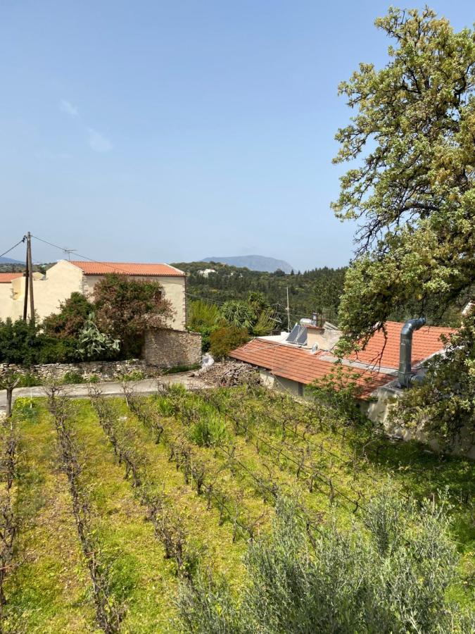 Retreat Homes Apokoronas Douliana Bagian luar foto